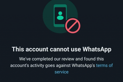 WhatsApp网页版收藏重要消息操作指南