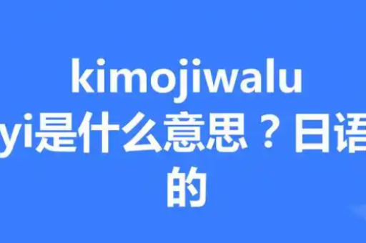 WhatsApp网页版为什么无法扫描二维码