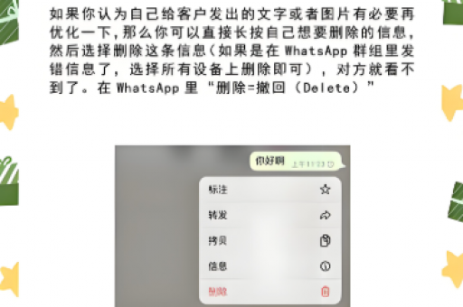 WhatsApp网页版学习成本解析